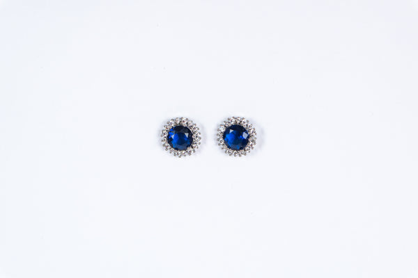 Rounded Sparkle Ear Studs